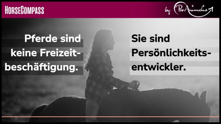 Mehr über den Artikel erfahren Pferde sind keine Freizeitbeschäftigung. Sie sind Persönlichkeitsentwickler.